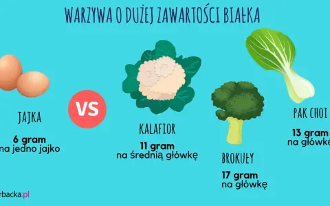 Warzywa o dużej zawartości białka: jajka (6g/jajko), kalafior (11g/główkę), brokuły (17g/główkę) i pak choi (13g/główkę).