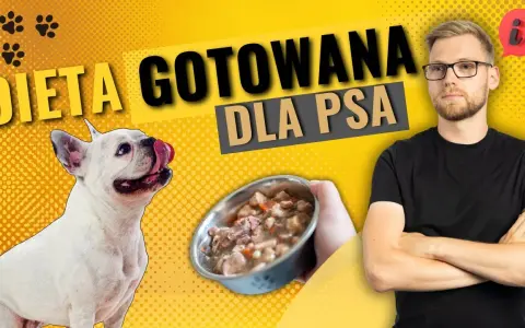 Jak gotowana wieprzowina dla psa może poprawić jego zdrowie?