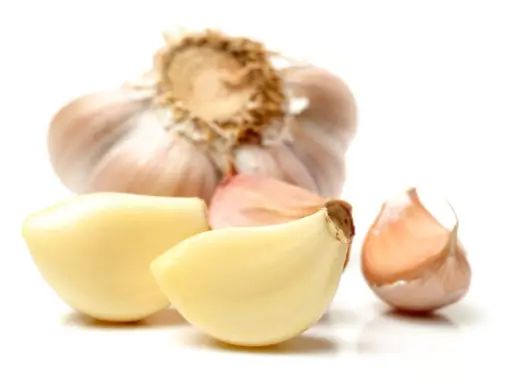 Cała główka czosnku i kilka ząbków na białym tle. Czosnek kcal - zdrowy dodatek do potraw.
