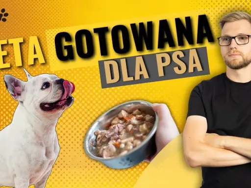Jak gotowana wieprzowina dla psa może poprawić jego zdrowie?