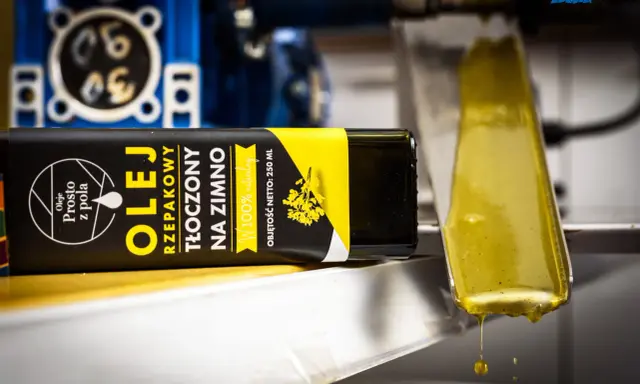 Olej rzepakowy tłoczony na zimno do frytek? Poznaj bezpieczne alternatywy
