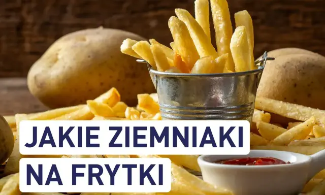 Złociste frytki w metalowym wiaderku, obok surowe ziemniaki i ketchup. Idealne ziemniaki na frytki to podstawa chrupiącej przekąski.